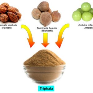 RAW Triphala Powder, Haritaki, Bibhitaki and Amalaki - Natural and Pure - Triphal 100 gm (Trees&Plants)
