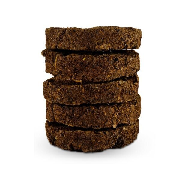 Cow Dung Cakes / Upale (2inch) - Image 3