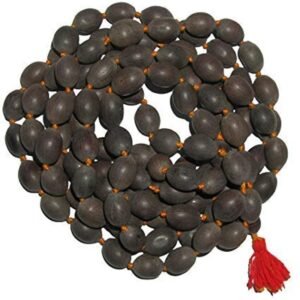 Lotus seed (Kamal Gatta) 108 malla Tirumala Pooja