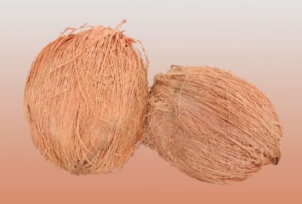 Fresh Dry Coconut with Husk